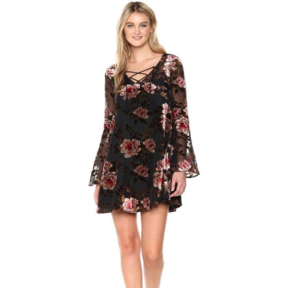 Anthropologie Cupcakes & Cashmere Floral Velvet Swing Dress XS
